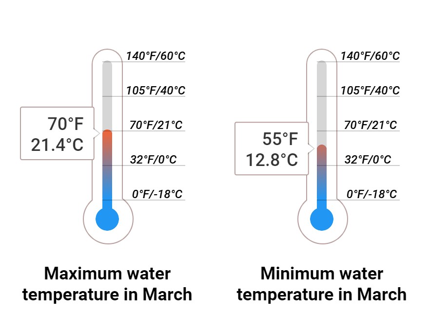 Average Sea temperature